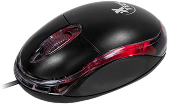 Xtech Mouse  XTM-195 Óptico 1000 DPI USB Ambidextro Negr wired 1000DPI