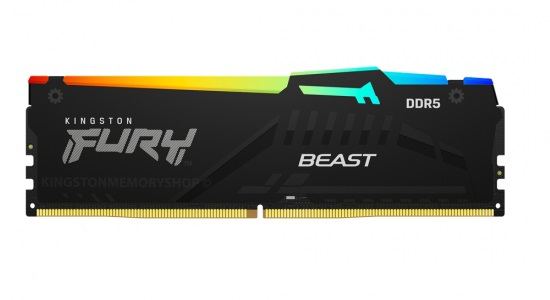 Kingston Fury Beast 16GB DDR5 5600MHz